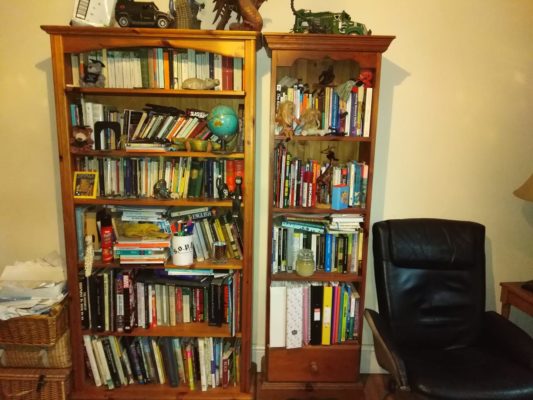 Bookshelf by Juls Benson