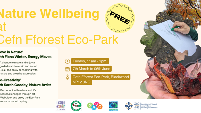 Fridays, 11am - 1pm. Cefn Fforest Eco-Park, Blackwood, NP12 3NQ (2160 x 1080 px)